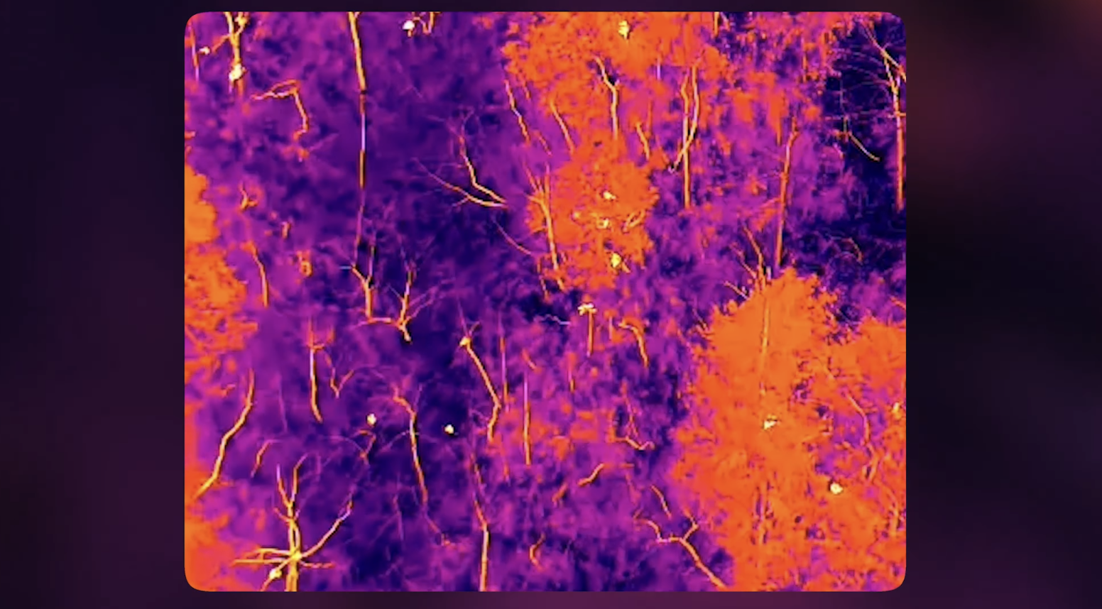 Thermal Image